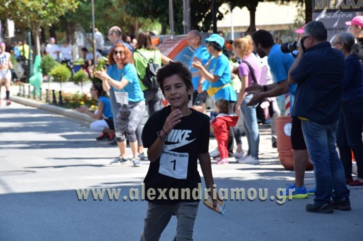 alexandriamou_1_alexandrinos_dromos056